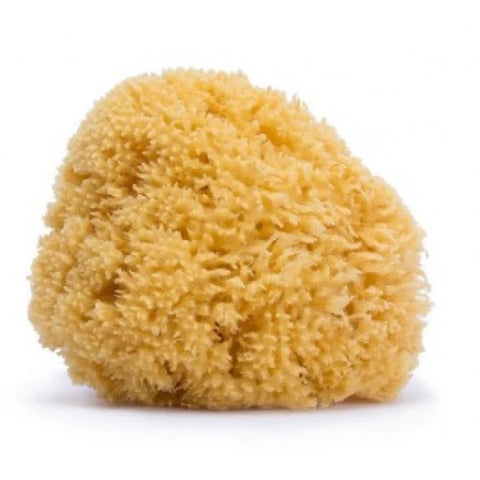Suavinex Esponja Natural de Banho