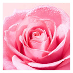 Nuxe Very Rose Gel de Limpeza Calmante 150ml